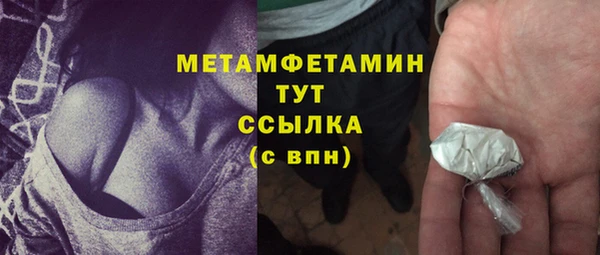 индика Богданович