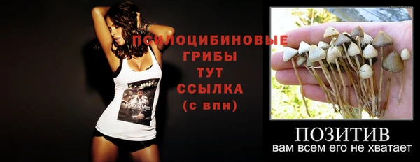 спайс Гусев