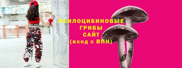 дживик Белоозёрский