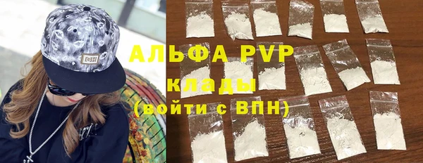 индика Богданович