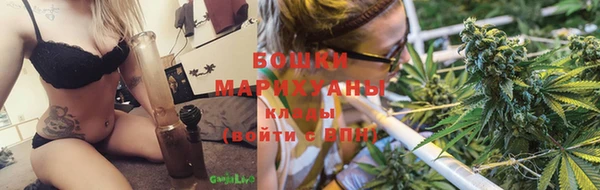 ГАЛЛЮЦИНОГЕННЫЕ ГРИБЫ Белокуриха