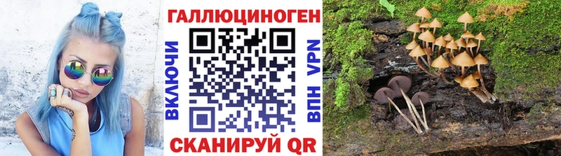 закладки  Бирск  мориарти телеграм  Псилоцибиновые грибы MAGIC MUSHROOMS 
